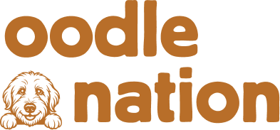 Oodle Nation MM