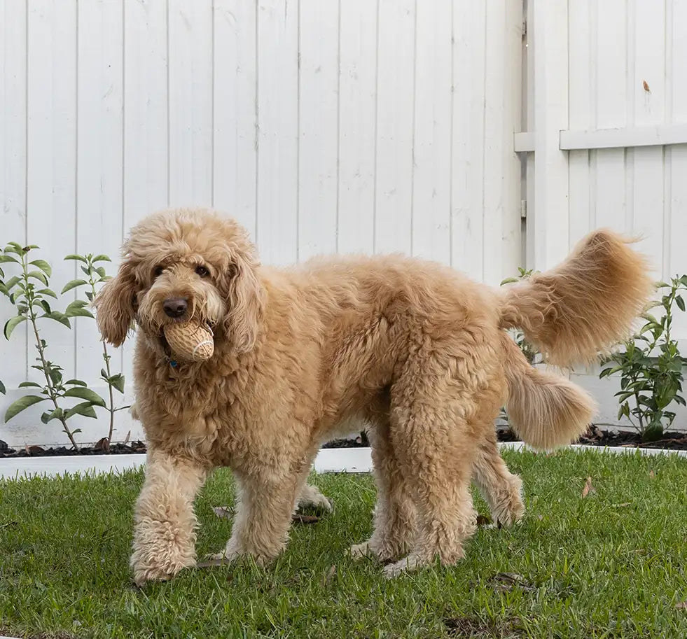 The Ultimate Play Pack